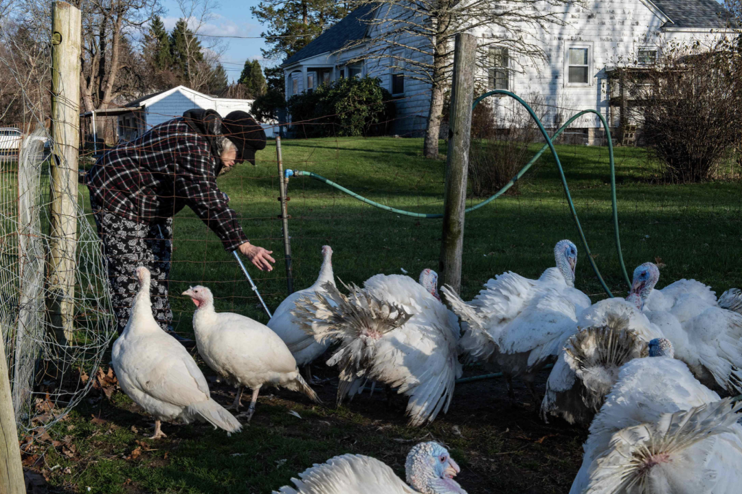 Stake(中国区)官方网站